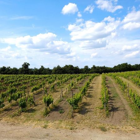 Agriturismo Vigna Sul Lago Montefiascone Eksteriør bilde