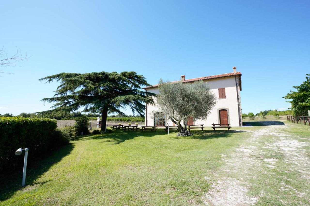 Agriturismo Vigna Sul Lago Montefiascone Eksteriør bilde