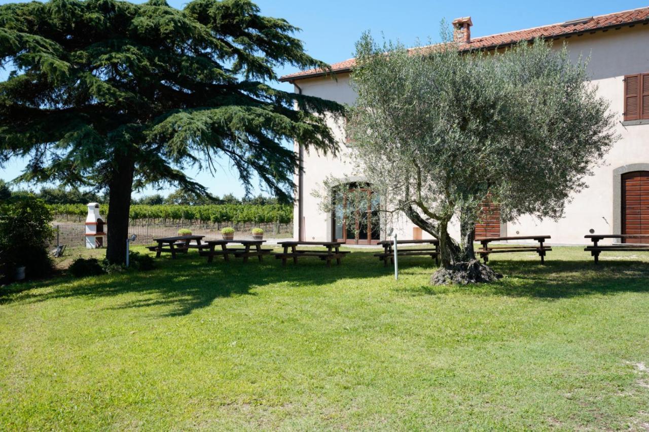 Agriturismo Vigna Sul Lago Montefiascone Eksteriør bilde