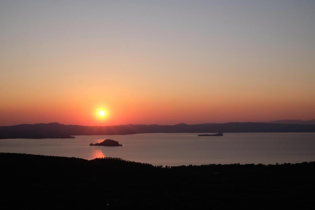 Agriturismo Vigna Sul Lago Montefiascone Eksteriør bilde