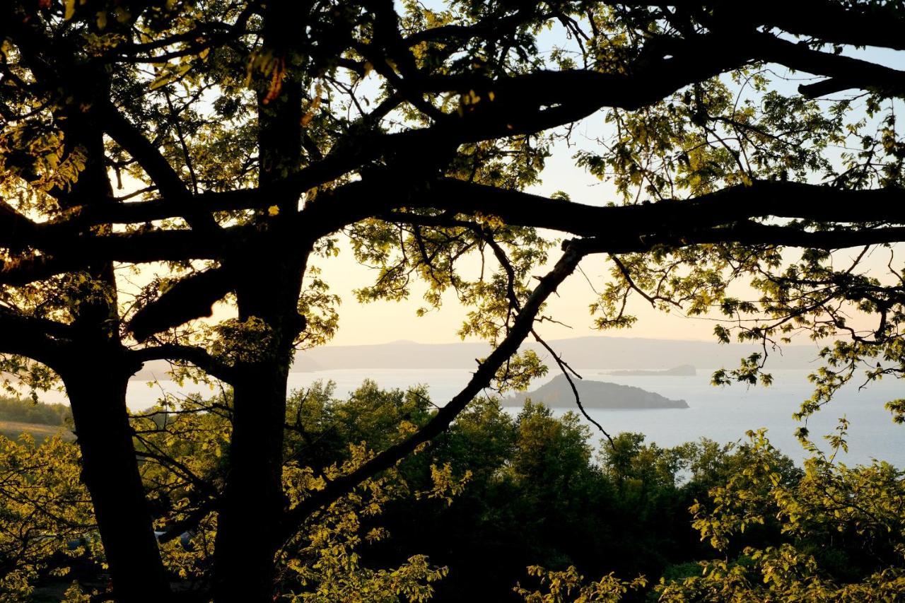Agriturismo Vigna Sul Lago Montefiascone Eksteriør bilde