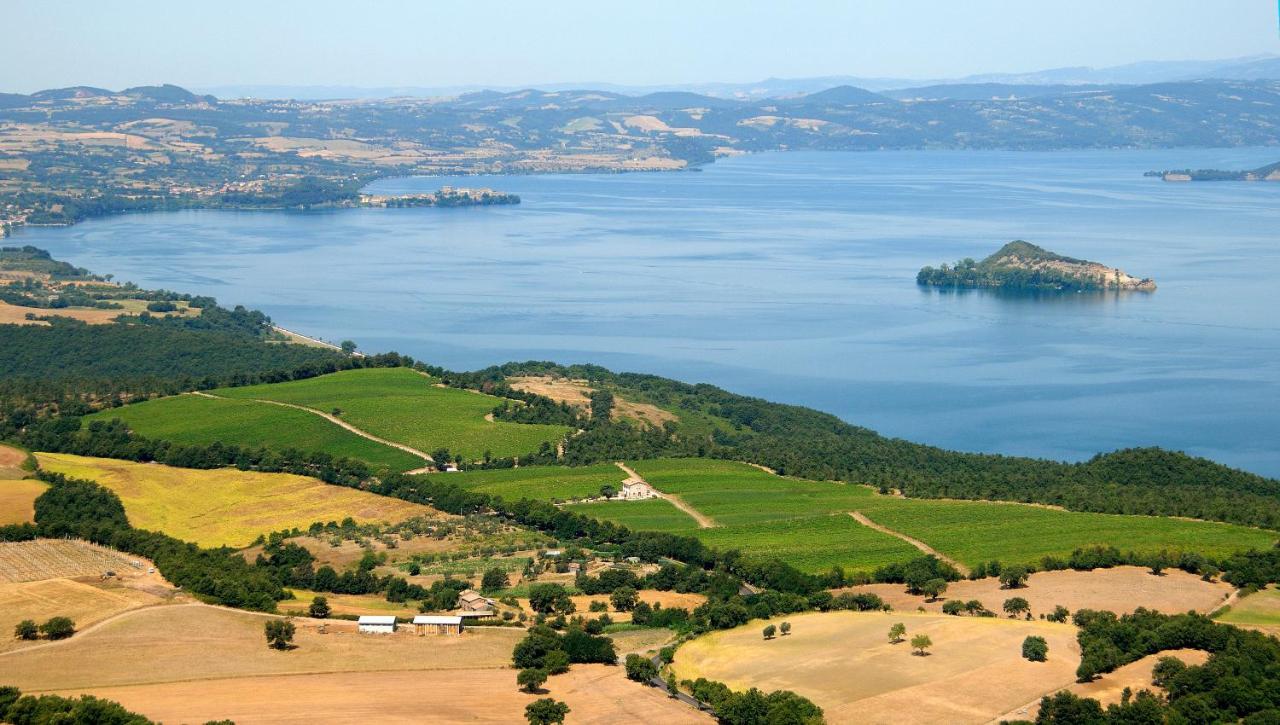 Agriturismo Vigna Sul Lago Montefiascone Eksteriør bilde